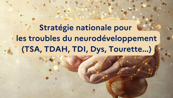 stratégie nationale pour les troubles du neurodéveloppement TSA TDAH DYS Tourette TDI