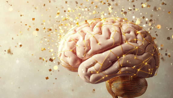 troubles du neurodéveloppement TSA TDAH DYS Tourette TDI