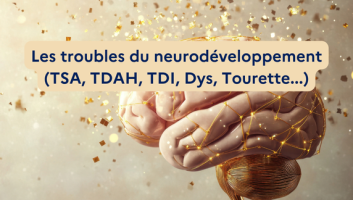 troubles du neurodéveloppement TSA TDAH DYS Tourette TDI